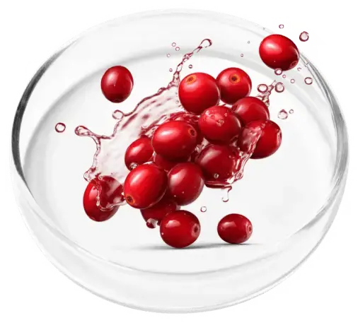 ProstaPure Supplement Capsules